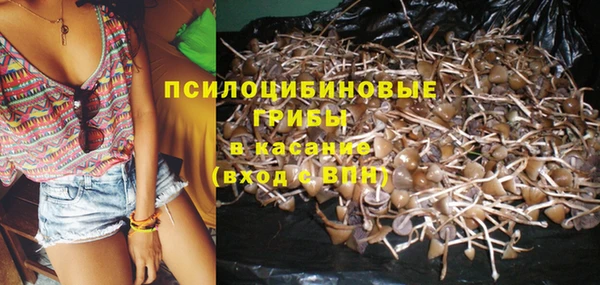 mdpv Волоколамск