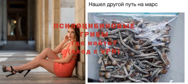 mdpv Волоколамск