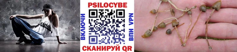 цена наркотик  Чита  Галлюциногенные грибы GOLDEN TEACHER 