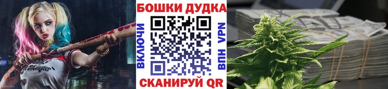 Бошки марихуана сатива  где найти   Чита 